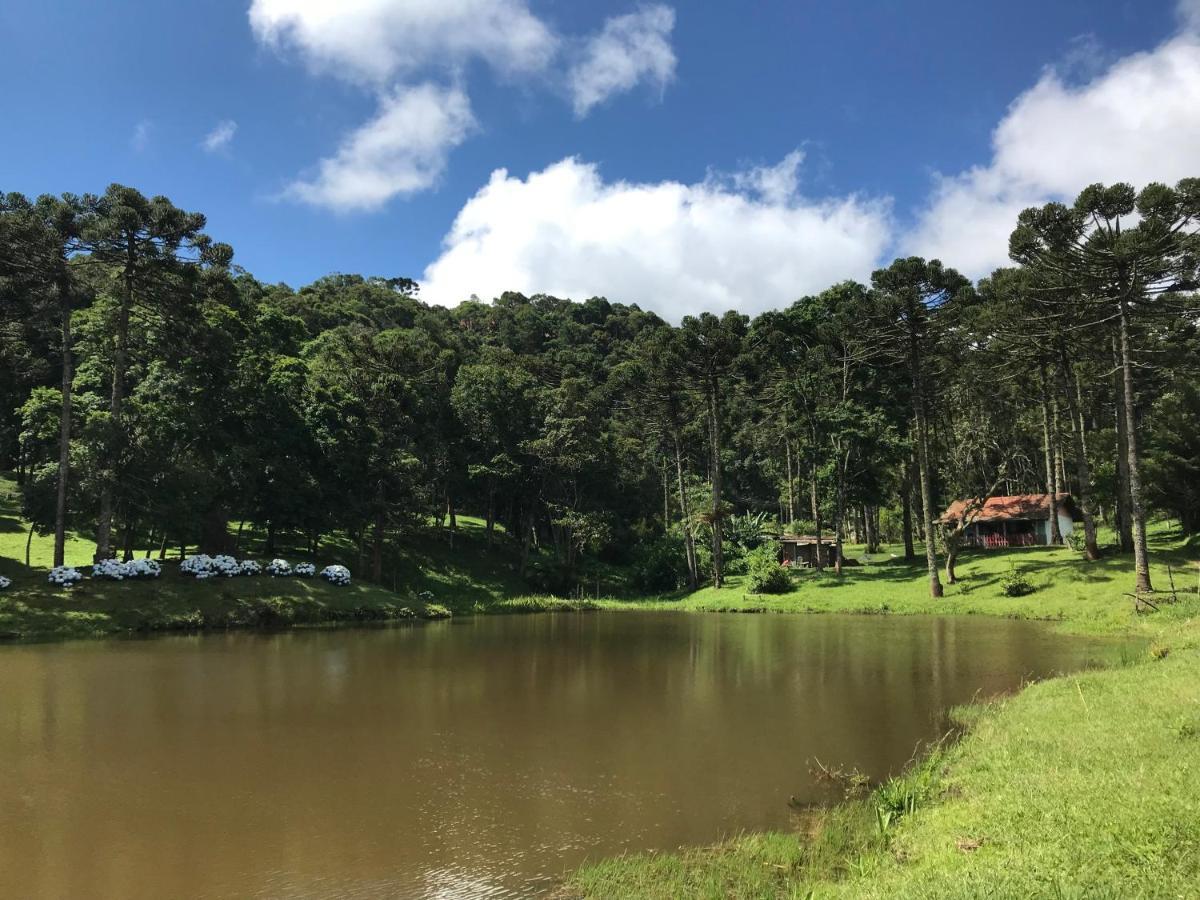 Green Mountains Hotel 몬테베르데 외부 사진