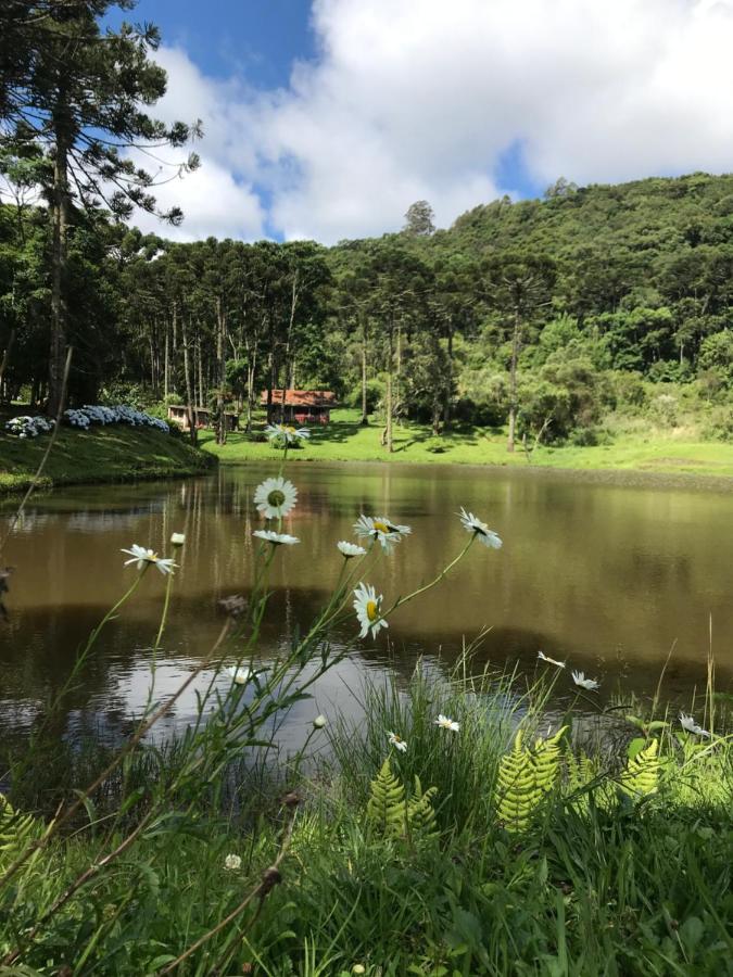 Green Mountains Hotel 몬테베르데 외부 사진